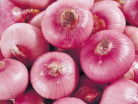 Allium cepa:purple onions are in a pile