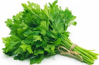 fresh vegetable of parsley in a small bundle