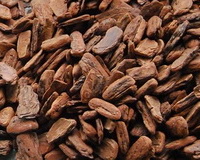 many brown pieces of Pine bark
