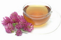 flowers of Trifolium pratense, and a glass of red clover tea
