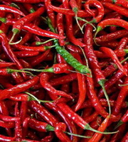 many dried red peppers are piled together