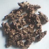 Rhodiola rosea