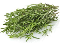 Rosemary