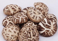 many dried flower shiitake mushrooms are piled together