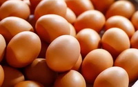 Selenium source:chicken eggs