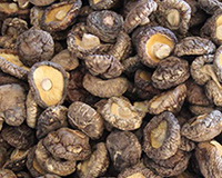 brownish dried shiitake mushrooms are piled together