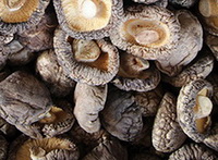 brown dried Shiitake Mushrooms