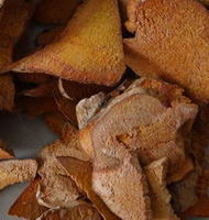 Smilax root:herb photo