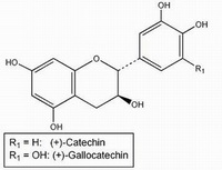 molecular structure of Catechin Gallocatechin