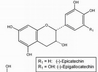 molecular structure of Epicatechin Epigallocatechin