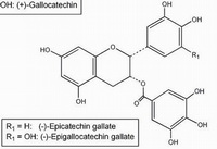 molecular structure of Epicatechin Gallate Epigallocatechin Gallate