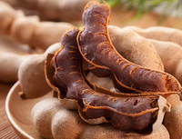 brown pods and fruits of Tamarind