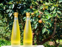 two bottles of yellow tea-seed oil