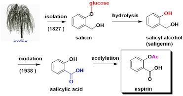 willow bark and isolation of salicin