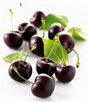 several dark purple picked wild cherry fruits and green leaves