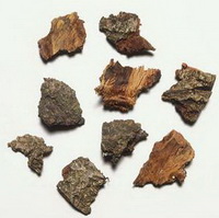 brown willow bark pieces