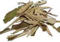 Yerba Santa