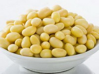 Spring Food Soybeans