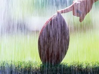 Water and Dampness could be a problem.
