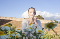 The benefits of active sneezing 05