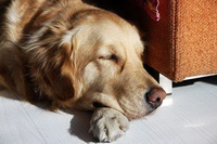 take a nap 05