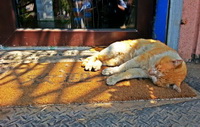 take a nap 06
