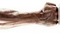 The obvious cause of blue veins in all parts of the body 03