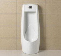 There is urine then go to pee.