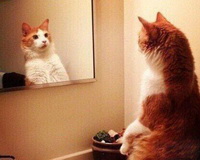 Looking in the mirror 04