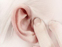 Introduction of massage ear.