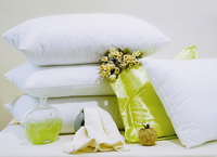 Pillow 03
