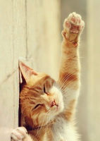 The Way of stretching 05