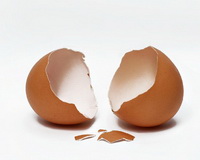 Eggshell 03