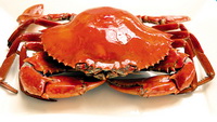 The nutritional value and health benefit of crab.