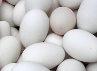 The health benefit and functions of goose egg.