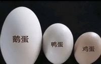 Introduction of goose egg