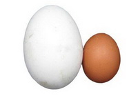 Goose Eggs 03