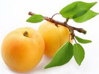 Almond 02