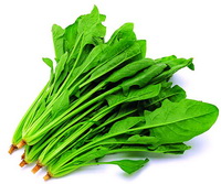 Spinach