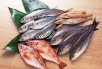 Deep Sea fish