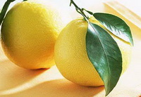 Grapefruit peel Icon 02