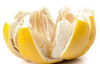 Grapefruit peel Icon 03