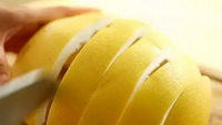 Grapefruit peel Icon 03