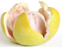 Grapefruit peel Icon 06