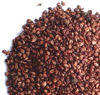 The health benefits of grape seed, is grape seed edible?