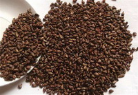 Grape Seed Photo 02
