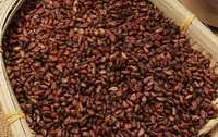 Grape Seed Photo 03