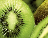 Introduction of Kiwifruit
