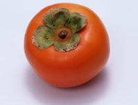 Persimmon Fruit 06