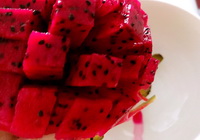 Pitaya fruit Icon 04